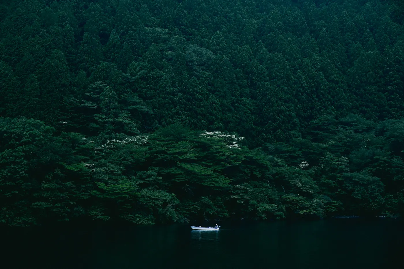 Photography by Om Roshan Ivatury